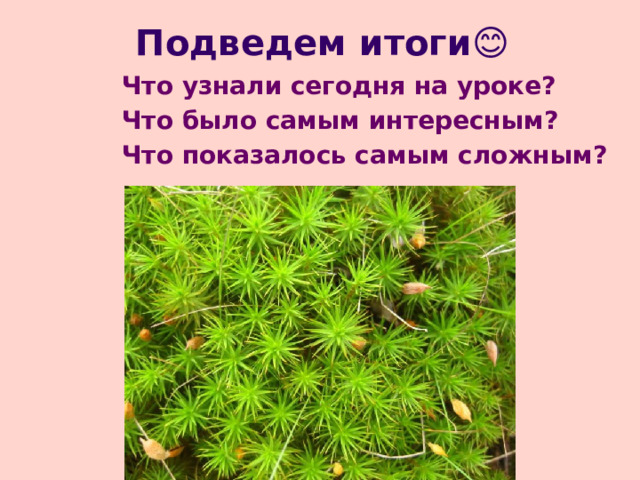 Закрепление изученного  1. Почему мхи относят к высшим споровым растениям? 2. Какие особенности строения и образа жизни отличают их от водорослей? 3. Каких представителей мохообразных мы изучили? 4. Что такое гаметофит и спорофит? 5. В чем состоит значение мхов в природе и жизни человека?  