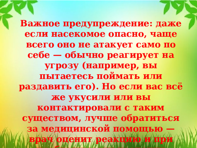 Важное предупреждение: даже если насекомое опасно, чаще всего оно не атакует само по себе — обычно реагирует на угрозу (например, вы пытаетесь поймать или раздавить его). Но если вас всё же укусили или вы контактировали с таким существом, лучше обратиться за медицинской помощью — врач оценит реакцию и при необходимости назначит лечение. 