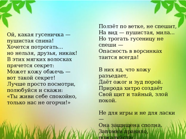 Ползёт по ветке, не спешит, На вид — пушистая, мила… Но трогать гусеницу не спеши — Опасность в ворсинках таится всегда! В них яд, что кожу разъедает, Даёт ожог и зуд порой. Природа хитро создаёт Свой щит и тайный, злой покой. Не для игры и не для ласки — Она защищена сполна. Запомни правило, пожалуйста: «Не трогай — будет лишь беда!» Ой, какая гусеничка —  пушистая спина! Хочется потрогать… но нельзя, друзья, никак! В этих мягких волосках прячется секрет: Может кожу обжечь —  вот такой секрет! Лучше просто посмотри, полюбуйся и скажи: «Ты живи себе спокойно, только нас не огорчи!» 