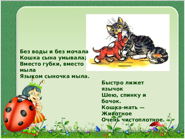 Без воды и без мочала Кошка сына умывала; Вместо губки, вместо мыла Языком сыночка мыла. Быстро лижет язычок Шею, спинку и бочок. Кошка-мать — Животное Очень чистоплотное. 