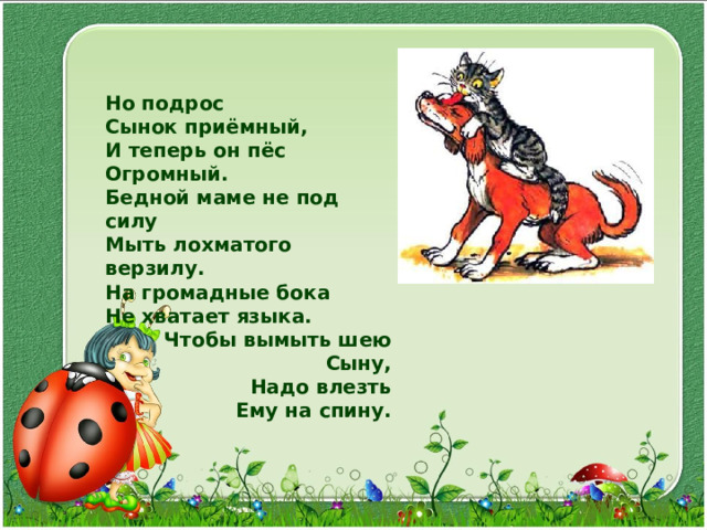Но подрос Сынок приёмный, И теперь он пёс Огромный. Бедной маме не под силу Мыть лохматого верзилу. На громадные бока Не хватает языка. Чтобы вымыть шею Сыну, Надо влезть Ему на спину. 