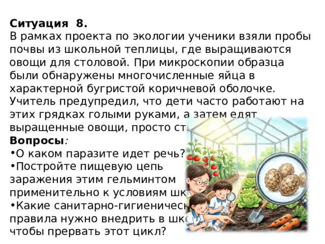 Ситуация   8. В рамках проекта по экологии ученики взяли пробы почвы из школьной теплицы, где выращиваются овощи для столовой. При микроскопии образца были обнаружены многочисленные яйца в характерной бугристой коричневой оболочке. Учитель предупредил, что дети часто работают на этих грядках голыми руками, а затем едят выращенные овощи, просто стряхнув с них землю. Вопросы :  О каком паразите идет речь? Постройте пищевую цепь заражения этим гельминтом применительно к условиям школы. Какие санитарно-гигиенические правила нужно внедрить в школе, чтобы прервать этот цикл? 