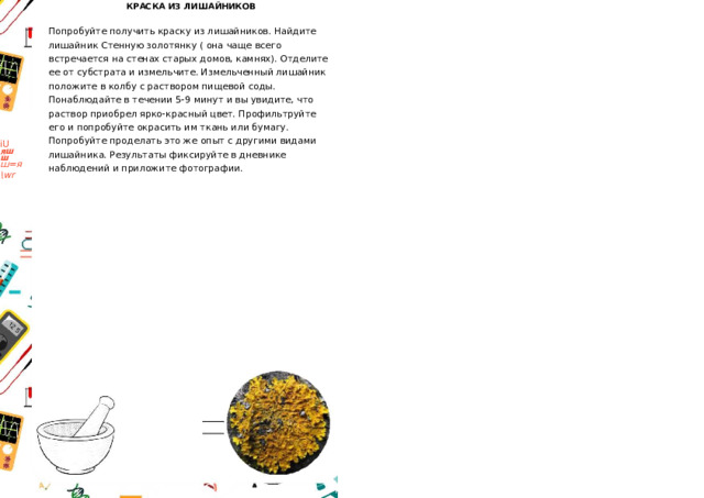 КРАСКА ИЗ ЛИШАЙНИКОВ Попробуйте получить краску из лишайников. Найдите лишайник Стенную золотянку ( она чаще всего встречается на стенах старых домов, камнях). Отделите ее от субстрата и измельчите. Измельченный лишайник положите в колбу с раствором пищевой соды. Понаблюдайте в течении 5-9 минут и вы увидите, что раствор приобрел ярко-красный цвет. Профильтруйте его и попробуйте окрасить им ткань или бумагу. Попробуйте проделать это же опыт с другими видами лишайника. Результаты фиксируйте в дневнике наблюдений и приложите фотографии. iU яшш ш=я \wr 