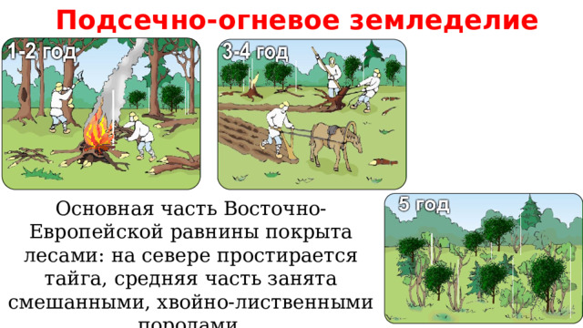  Подсечно-огневое земледелие Основная часть Восточно-Европейской равнины покрыта лесами: на севере простирается тайга, средняя часть занята смешанными, хвойно-лиственными породами. 