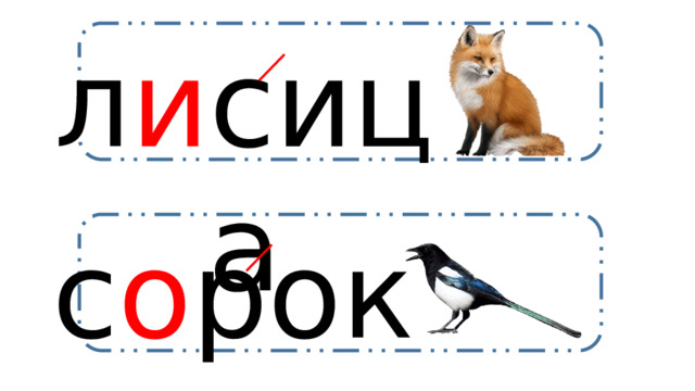 л и сица с о рока 