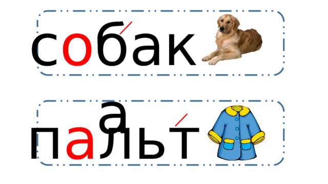 с о бака п а льто 