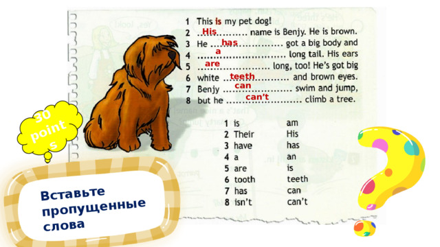 Вставьте пропущенные слова 30 points His has a are teeth can can’t 