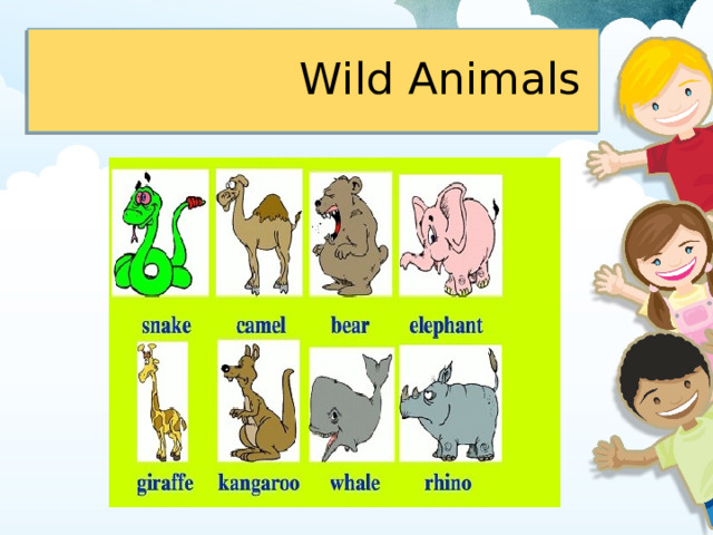   Wild Animals 