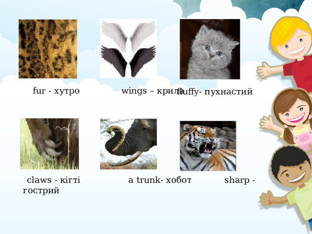     fur - хутро wings – крила fluffy - пухнастий  claws - кігті  a trunk - хобот sharp - гострий  