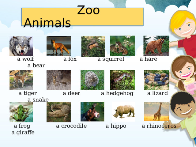   Zoo Animals    a wolf a fox a squirrel a hare a bear   a tiger a deer a hedgehog a lizard a snake   a frog a crocodile a hippo a rhinoceros a giraffe 