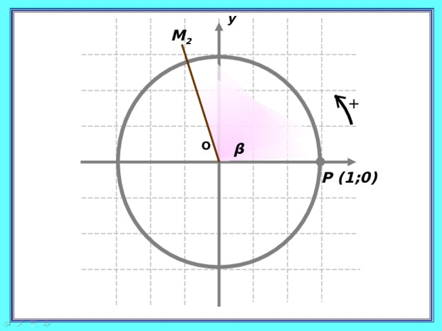 у М 2  + О β х Р (1;0) 