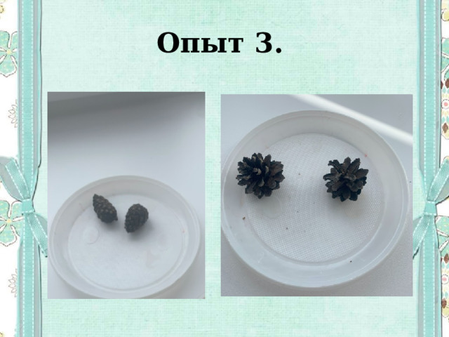 Опыт 3. 