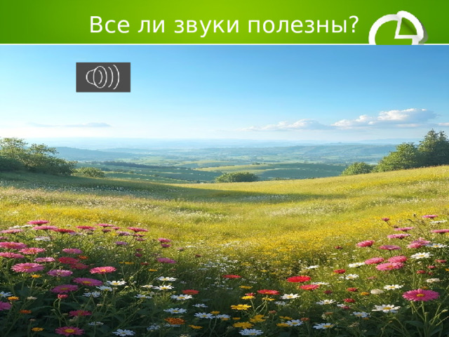 Все ли звуки полезны? 