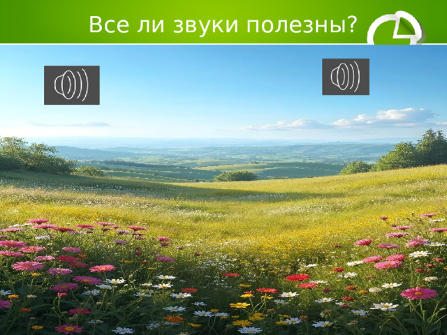 Все ли звуки полезны? 