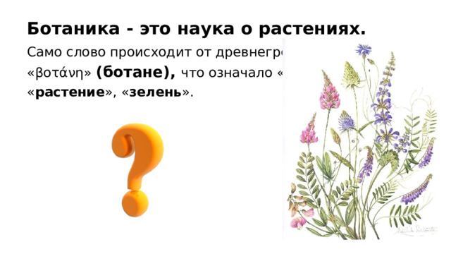 Ботаника - это наука о растениях. Само слово происходит от древнегреческого «βοτάνη» (ботане), что означало « трава », « растение », « зелень ».    
