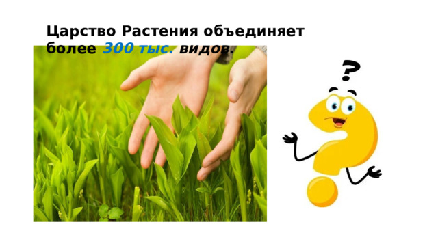 Царство Растения объединяет более  300 тыс. видов . 