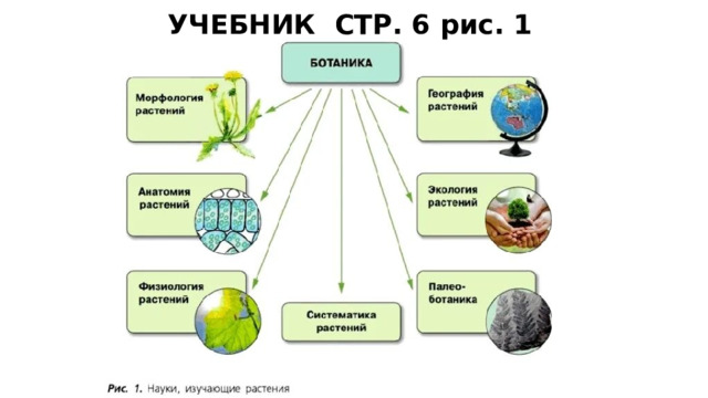 УЧЕБНИК СТР. 6 рис. 1 