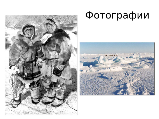 Фотографии 