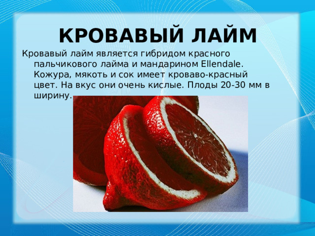 Кровавый лайм   Кровавый лайм является гибридом красного пальчикового лайма и мандарином Ellendale. Кожура, мякоть и сок имеет кроваво-красный цвет. На вкус они очень кислые. Плоды 20-30 мм в ширину. 
