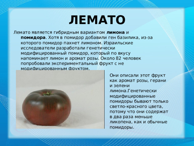 Лемато Лемато является гибридным вариантом лимона и помидора . Хотя в помидор добавили ген базилика, из-за которого помидор пахнет лимоном. Израильские исследователи разработали генетически модифицированный помидор, который по вкусу напоминает лимон и аромат розы. Около 82 человек попробовали экспериментальный фрукт с не модифицированным фруктом. Они описали этот фрукт как аромат розы, герани и зелени лимона.Генетически модифицированные помидоры бывают только светло-красного цвета, потому что они содержат в два раза меньше ликопена, как и обычные помидоры. 