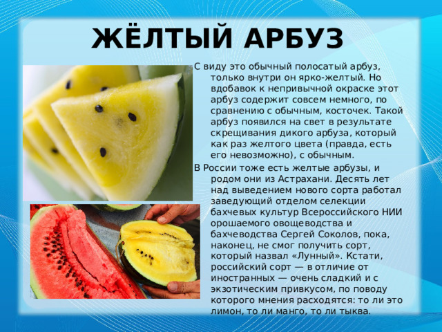 Жёлтый арбуз С виду это обычный полосатый арбуз, только внутри он ярко-желтый. Но вдобавок к непривычной окраске этот арбуз содержит совсем немного, по сравнению с обычным, косточек. Такой арбуз появился на свет в результате скрещивания дикого арбуза, который как раз желтого цвета (правда, есть его невозможно), с обычным. В России тоже есть желтые арбузы, и родом они из Астрахани. Десять лет над выведением нового сорта работал заведующий отделом селекции бахчевых культур Всероссийского НИИ орошаемого овощеводства и бахчеводства Сергей Соколов, пока, наконец, не смог получить сорт, который назвал «Лунный». Кстати, российский сорт — в отличие от иностранных — очень сладкий и с экзотическим привкусом, по поводу которого мнения расходятся: то ли это лимон, то ли манго, то ли тыква. 