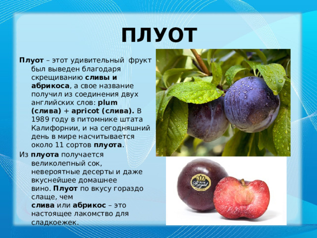 Плуот Плуот  – этот удивительный  фрукт был выведен благодаря скрещиванию  сливы и абрикоса , а свое название получил из соединения двух английских слов:  plum (слива)  +  apricot (слива). В 1989 году в питомнике штата Калифорнии, и на сегодняшний день в мире насчитывается около 11 сортов  плуота . Из  плуота  получается великолепный сок, невероятные десерты и даже вкуснейшее домашнее вино.  Плуот  по вкусу гораздо слаще, чем слива  или  абрикос  – это настоящее лакомство для сладкоежек.   
