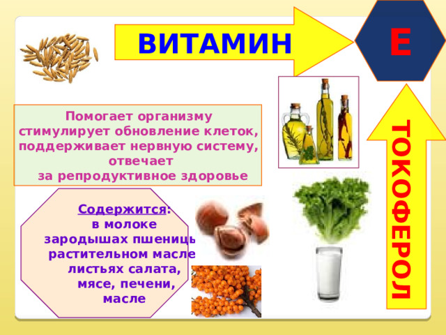 E ТОКОФЕРОЛ ВИТАМИН  Помогает организму стимулирует обновление клеток, поддерживает нервную систему, отвечает  за репродуктивное здоровье  Содержится : в молоке зародышах пшеницы, растительном масле, листьях салата,  мясе, печени, масле  