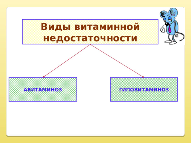 Виды витаминной недостаточности   АВИТАМИНОЗ ГИПОВИТАМИНОЗ   