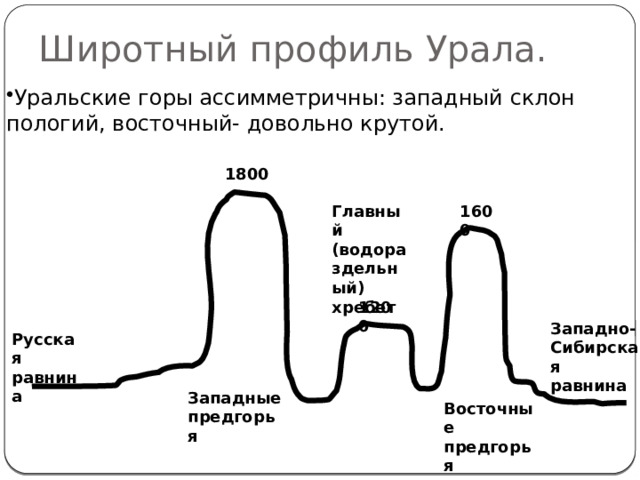 Широтный профиль Урала. Уральские горы ассимметричны: западный склон пологий, восточный- довольно крутой. 1800 Главный (водораздельный) хребет 1600 1200 Западно- Сибирская равнина Русская равнина Западные предгорья Восточные предгорья 