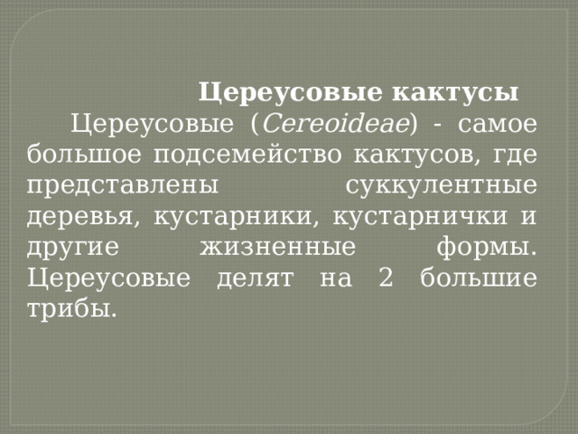  Цереусовые кактусы  Цереусовые ( Cereoideae ) - самое большое подсемейство кактусов, где представлены суккулентные деревья, кустарники, кустарнички и другие жизненные формы. Цереусовые делят на 2 большие трибы. 