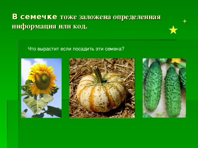 В основном вся информация, которая окружает нас, закодирована. Как вы понимаете слово кодирование? Код  – набор условных знаков (обозначений) для записи, передачи, хранения, обработки некоторых заранее определенных понятий. Кодирование - процессе преобразования информации из одной формы представления в другую. 
