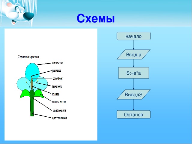 Схемы начало Ввод а S:=а*а ВыводS Останов 