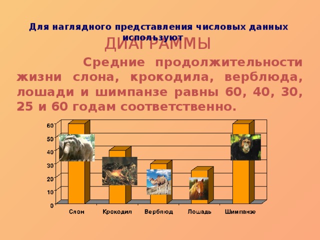  Для наглядного представления числовых данных используют ДИАГРАММЫ   Средние продолжительности жизни слона, крокодила, верблюда, лошади и шимпанзе равны 60, 40, 30, 25 и 60 годам соответственно. 32 