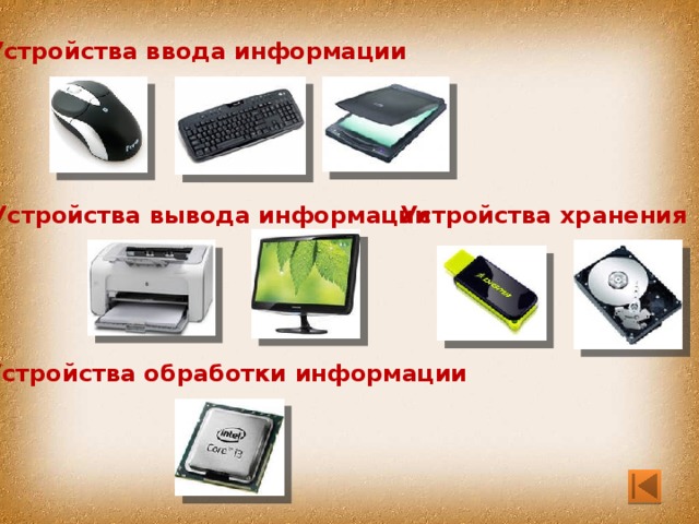 Устройства ввода информации Устройства вывода информации Устройства хранения Устройства обработки информации 