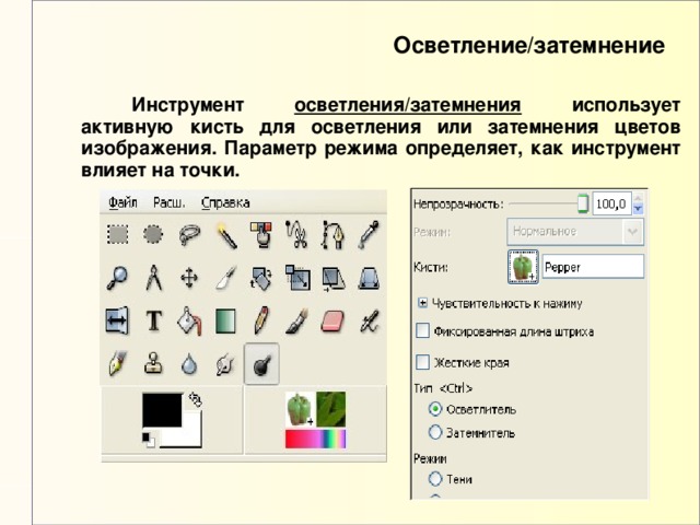 Осветление/затемнение  Инструмент осветления/затемнения использует активную кисть для осветления или затемнения цветов изображения. Параметр режима определяет, как инструмент влияет на точки. 