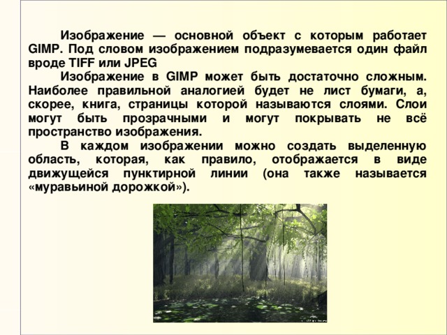  Изображение — основной объект с которым работает GIMP. Под словом изображением подразумевается один файл вроде TIFF или JPEG  Изображение в GIMP может быть достаточно сложным. Наиболее правильной аналогией будет не лист бумаги, а, скорее, книга, страницы которой называются слоями. Слои могут быть прозрачными и могут покрывать не всё пространство изображения.  В каждом изображении можно создать выделенную область, которая, как правило, отображается в виде движущейся пунктирной линии (она также называется «муравьиной дорожкой»). 