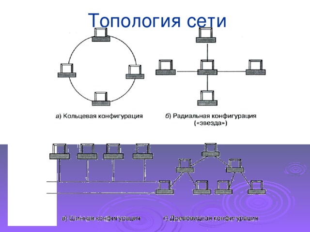 Топология сети 
