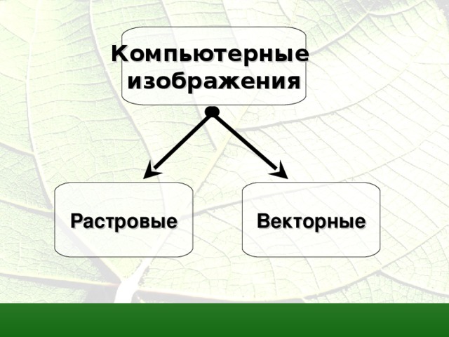 Компьютерные изображения Растровые Векторные 