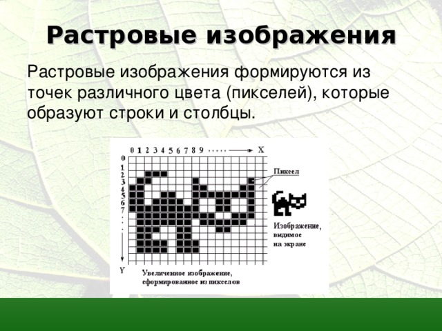Растровые изображения Растровые изображения формируются из точек различного цвета (пикселей), которые образуют строки и столбцы. 