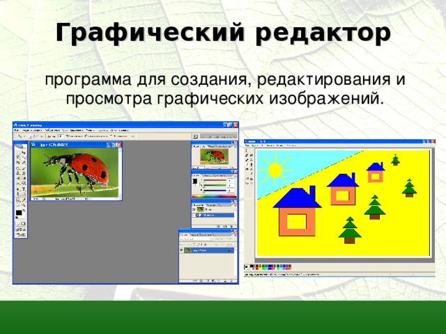 Графический редактор программа для создания, редактирования и просмотра графических изображений. 
