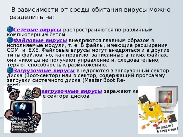 В зависимости от среды обитания вирусы можно разделить на: Сетевые вирусы распространяются по различным компьютерным сетям. Файловые вирусы внедряются главным образом в исполняемые модули, т. е. В файлы, имеющие расширения  COM  и  EXE. Файловые вирусы могут внедряться и в другие типы файлов, но, как правило, записанные в таких файлах, они никогда не получают управление и, следовательно, теряют способность к размножению. Загрузочные вирусы внедряются в загрузочный сектор диска (Boot-сектор) или в сектор, содержащий программу загрузки системного диска (Master Boot Re-cord).                       Файлово-загрузочные вирусы заражают как файлы, так и загрузочные сектора дисков.    
