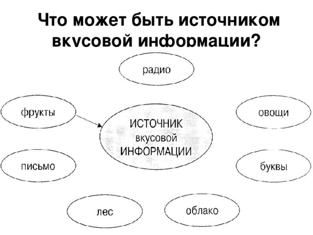  Что может быть источником вкусовой информации? 