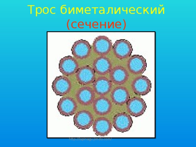 Трос биметалический  (сечение) http://lapinagv.jimdo.com/ 