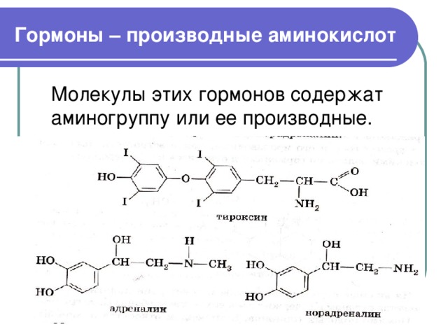 Гормоны – производные аминокислот  Молекулы этих гормонов содержат аминогруппу или ее производные. 