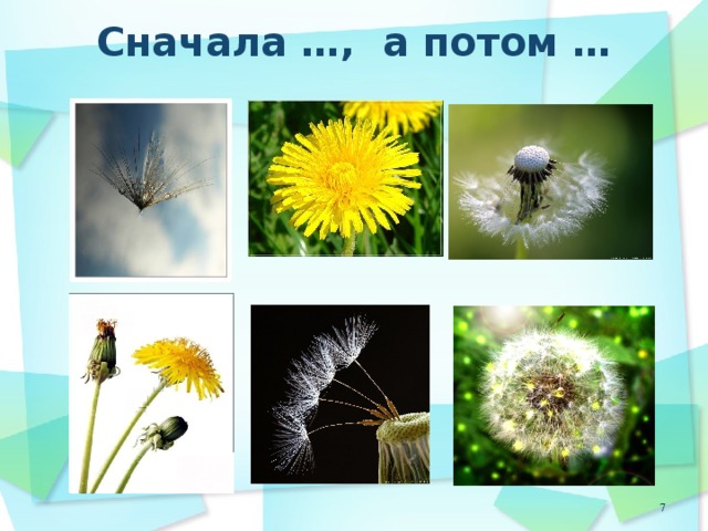 Сначала …, а потом … 