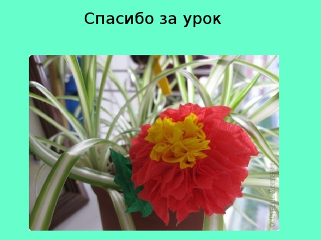 Спасибо за урок 