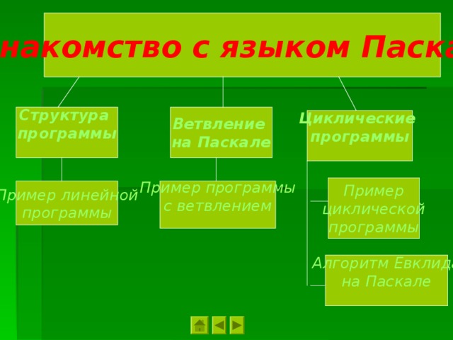 Знакомство с языком Паскаль Ветвление на Паскале Структура программы  Циклические программы  Пример циклической программы Пример линейной программы Пример программы с ветвлением  Алгоритм Евклида на Паскале  
