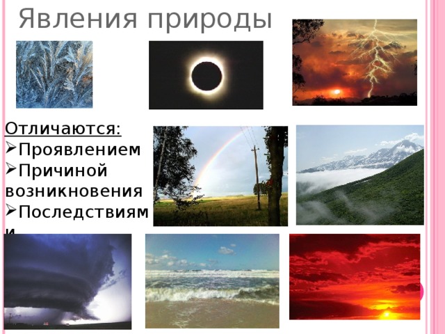 Явления природы Отличаются: Проявлением Причиной возникновения Последствиями 