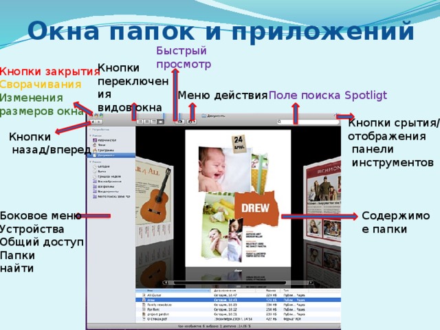 Окна папок и приложений Быстрый просмотр Кнопки переключения видов окна Кнопки закрытия Сворачивания Изменения размеров окна Поле поиска Spotligt Меню действия Кнопки срытия/ отображения  панели  инструментов Кнопки  назад/вперед Содержимое папки Боковое меню Устройства Общий доступ Папки найти 