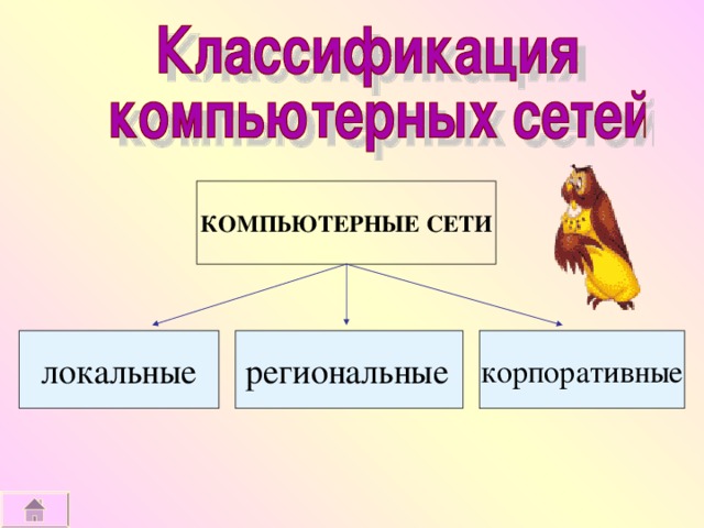 КОМПЬЮТЕРНЫЕ СЕТИ локальные региональные  корпоративные 3 